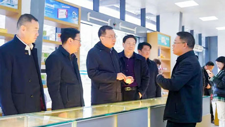 依法服务保障企业更好发展，陇南中院院长万建军赴独一味制药调研指导