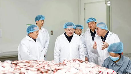 甘肃省委书记胡昌升莅临九洲国际健康集团佛仁制药考察调研