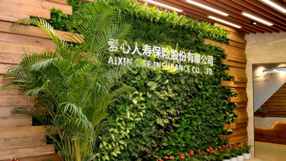 九洲国际健康集团第三次增资爱心人寿获批，新“国十条”助力医疗和保险深度融合