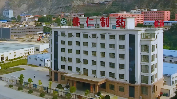 甘肃省副省长葛建团莅临九洲国际（002219）旗下佛仁制药考察调研